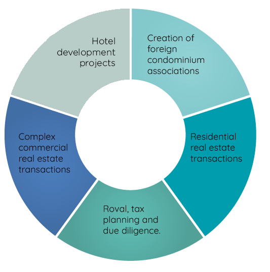 Develop-International-Real-Estate-Projects